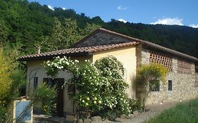 Il Cielo Bio - Il Piu Piccolo Del Chianti Greve In Chianti 3*
